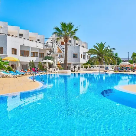 Dreams Of The Sea Callao Salvaje